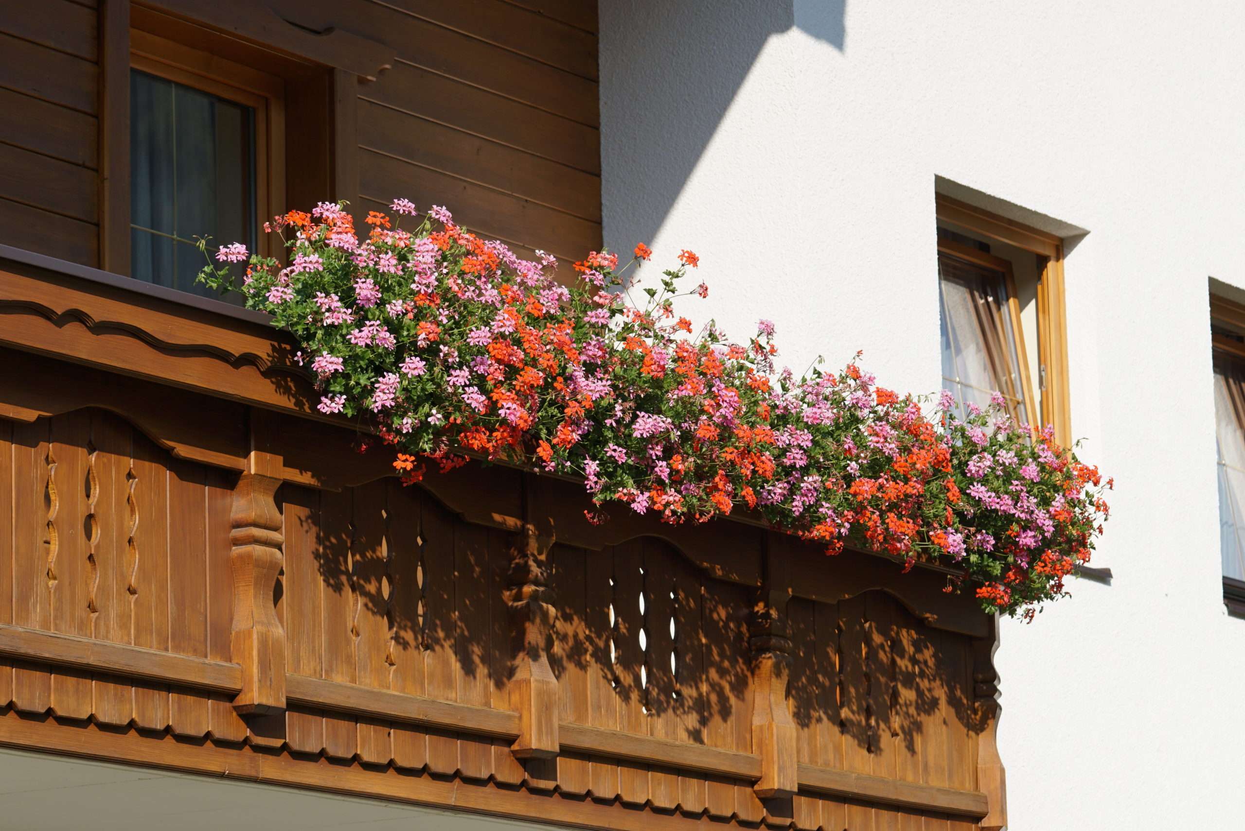Klettern im Defereggental